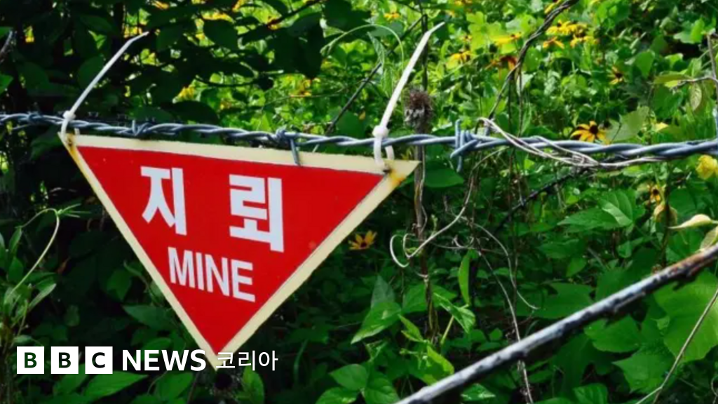 DMZ 지뢰